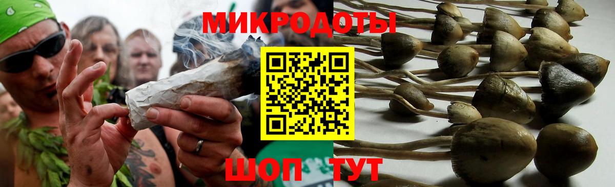 Кулебаки  Псилоцибиновые грибы MAGIC MUSHROOMS  где найти   Галлюциногенные грибы GOLDEN TEACHER  Вход с VPN 